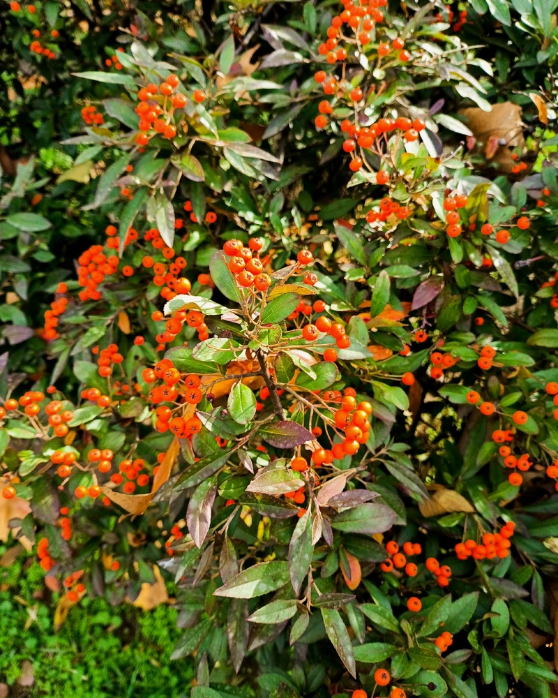 Зображення завантажив Ruslana