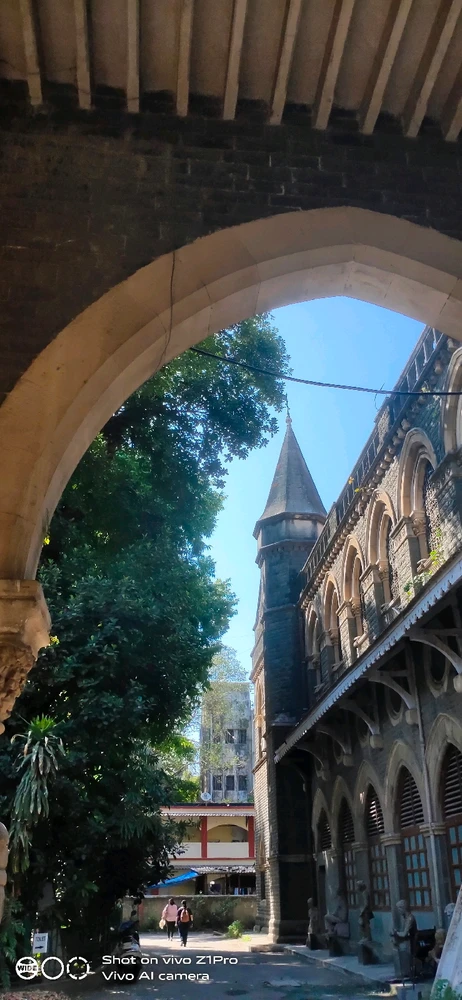 Image uploaded by Daisy