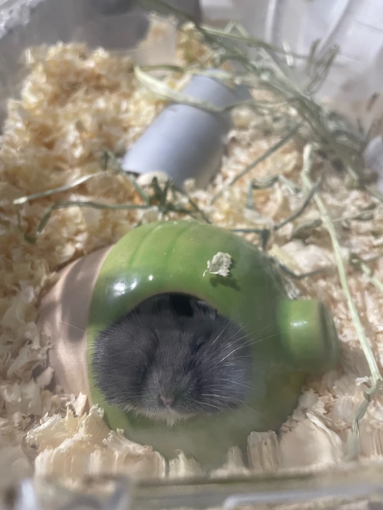 GIF diunggah dening Mai