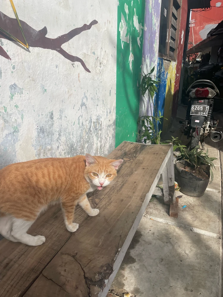 GIF gi-upload ni Bek