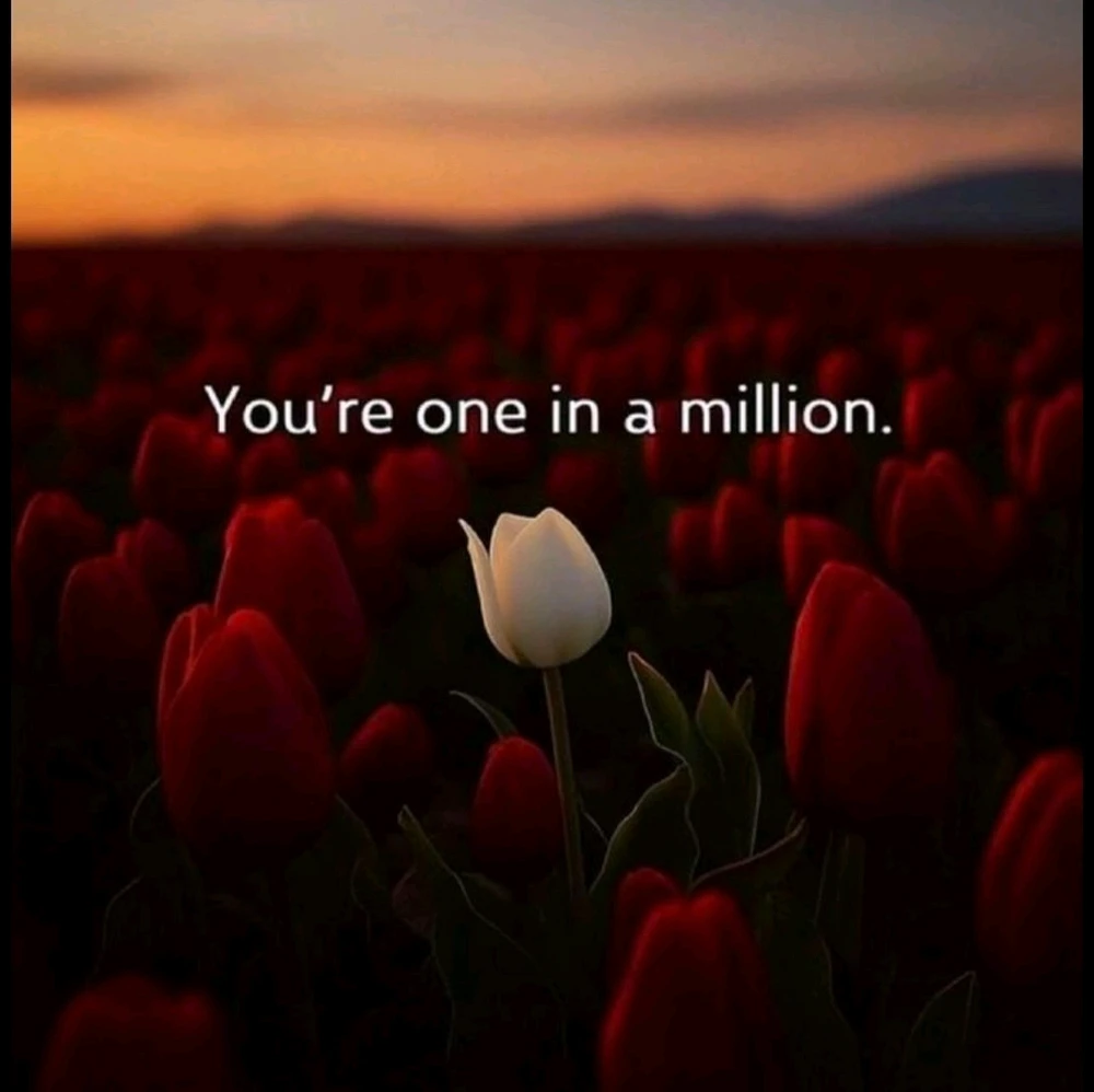 GIF ajouté par Sara