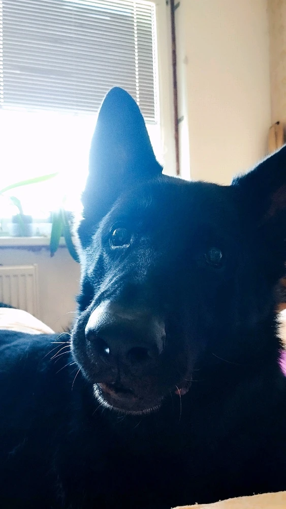 Fotku nahral/-a Kimi