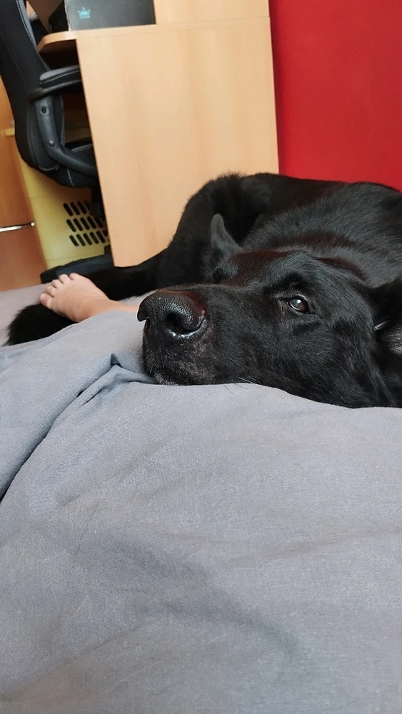 Fotku nahral/-a Kimi