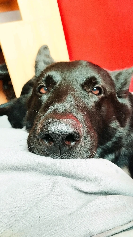 Fotku nahral/-a Kimi