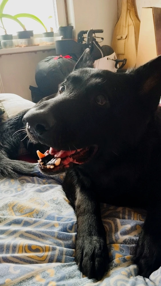 Fotku nahral/-a Kimi