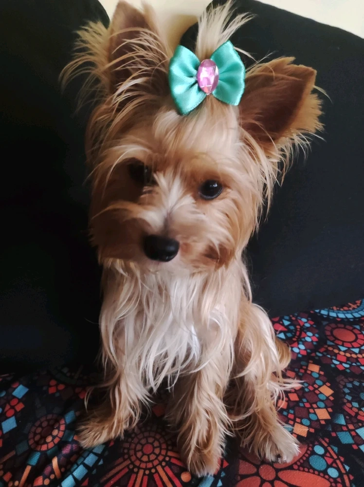 Imagem enviada por Kelly