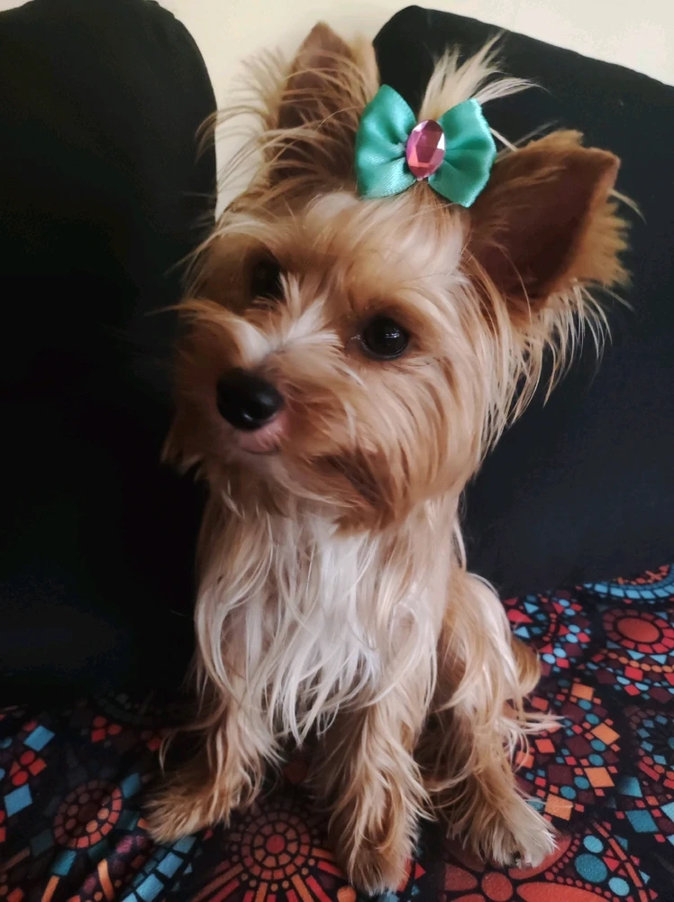 Imagem enviada por Kelly