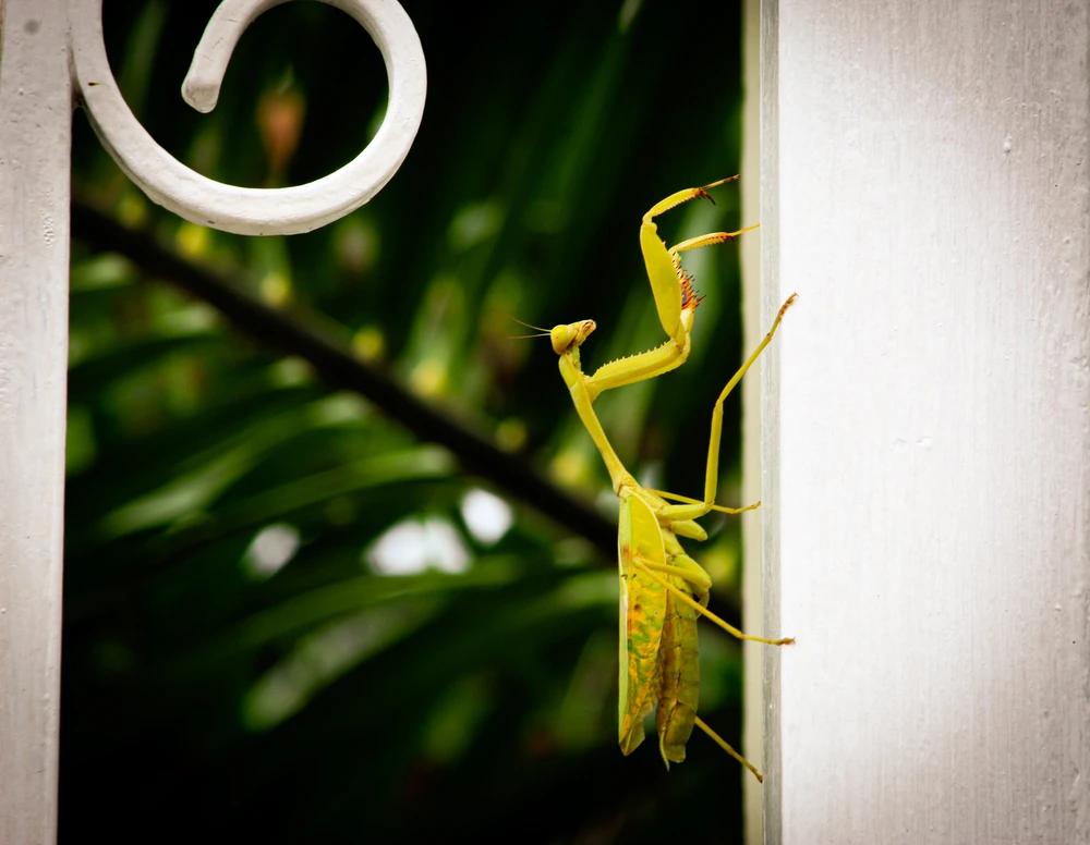 Imagen subida por Erick Matos