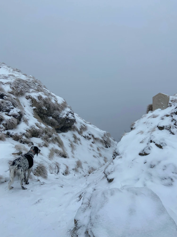 GIF caricata da Giovanni