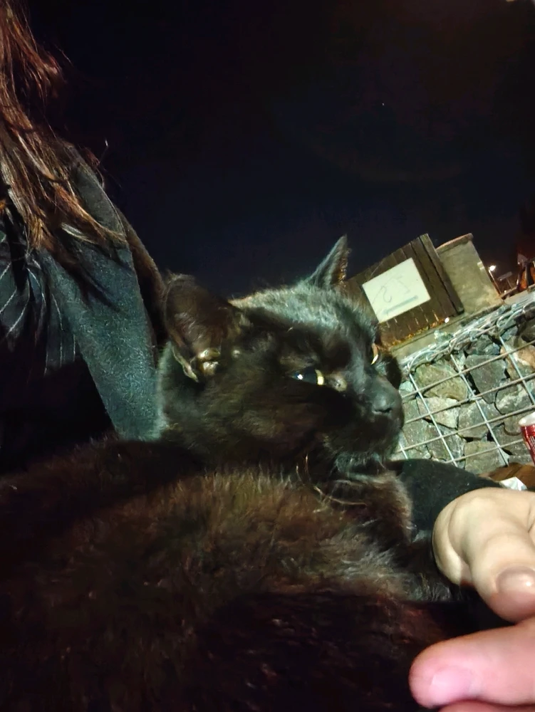 Image uploaded by Winnie (Edwi :d)