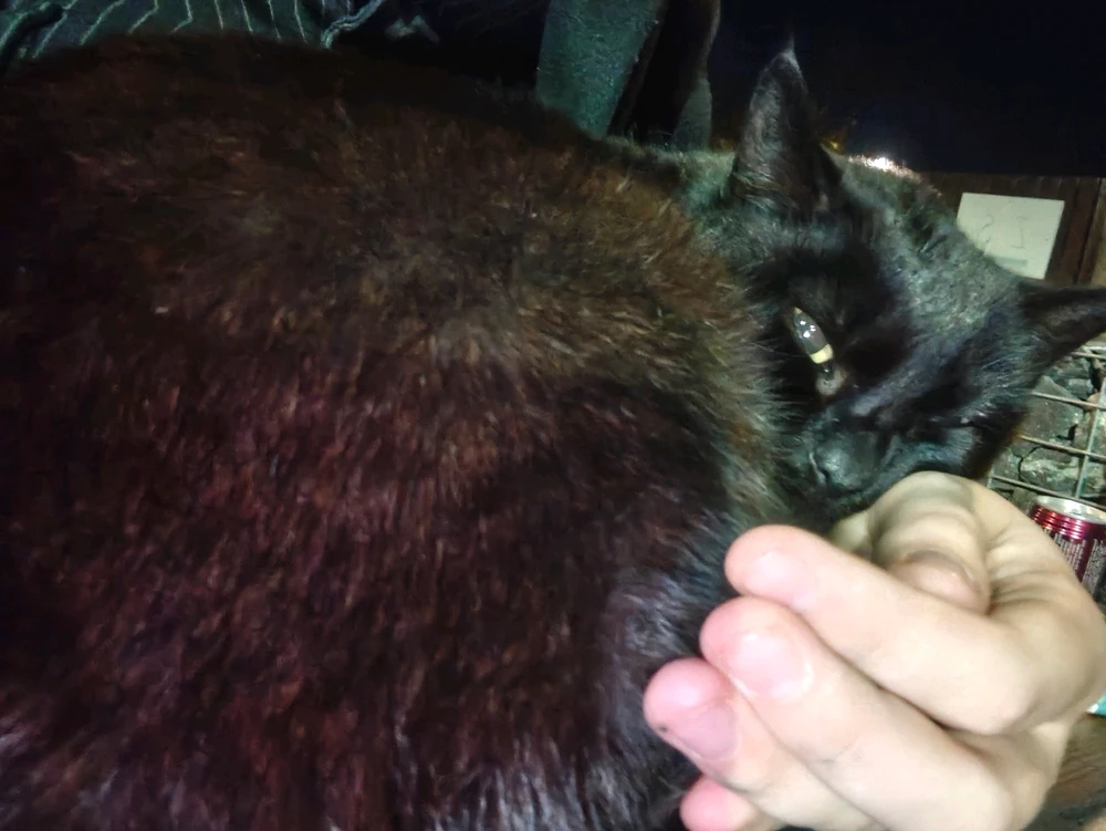 Image uploaded by Winnie (Edwi :d)