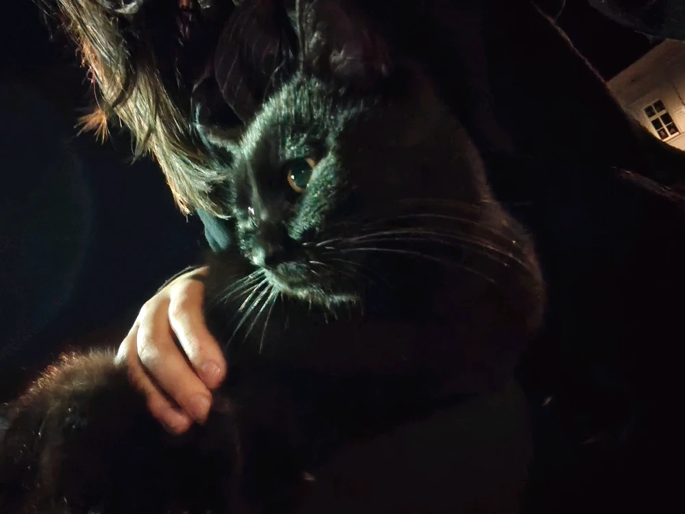 Image uploaded by Winnie (Edwi :d)