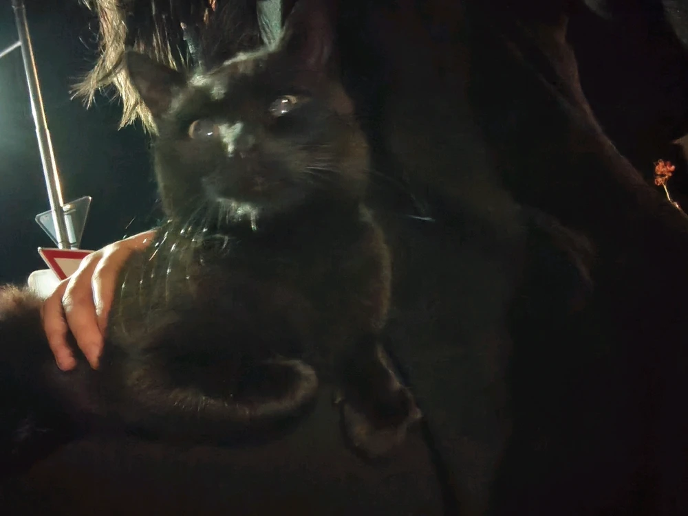 Image uploaded by Winnie (Edwi :d)