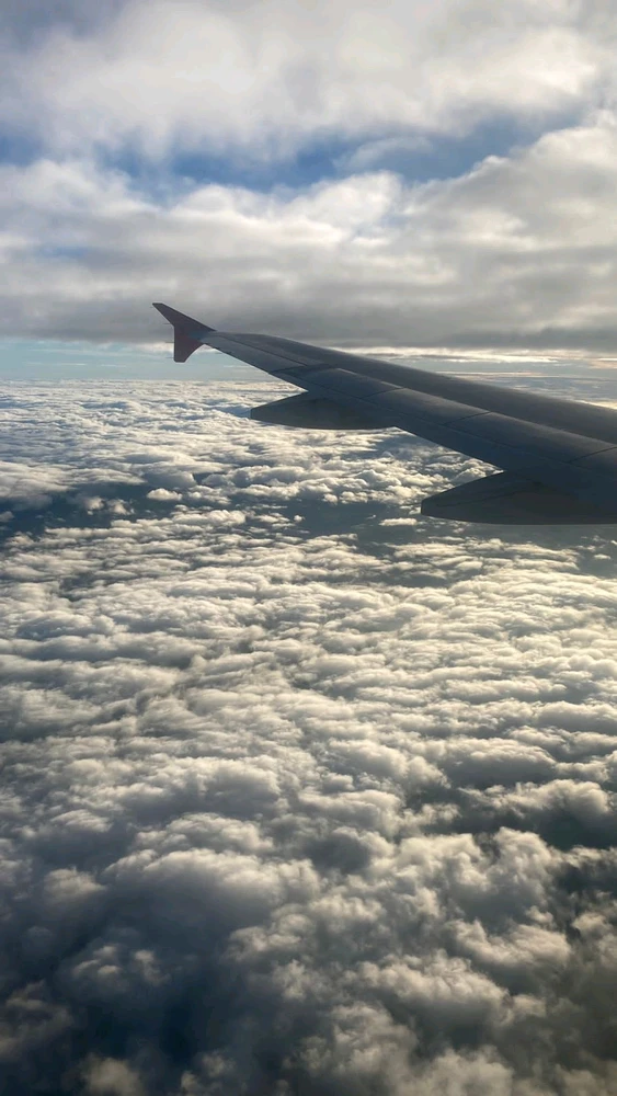 Imagem enviada por Jefferson