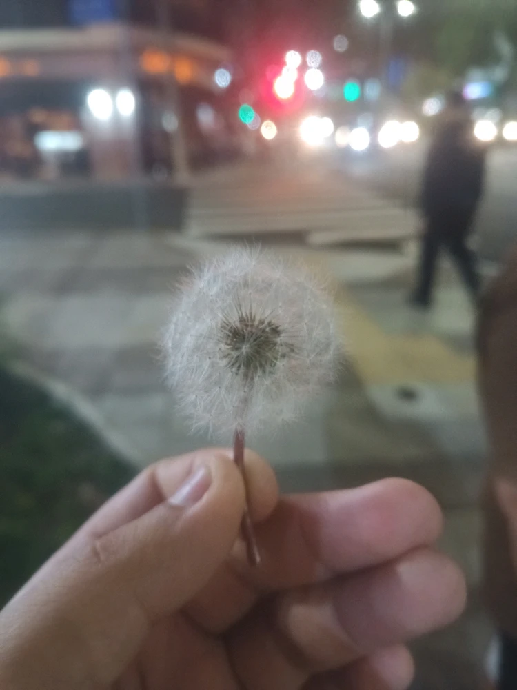 Imagem enviada por Jefferson