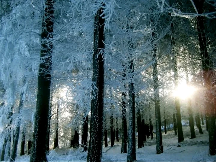 GIF ajouté par AudeKazoo