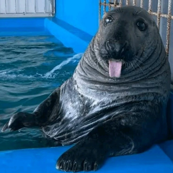 GIF uploaded by Roman