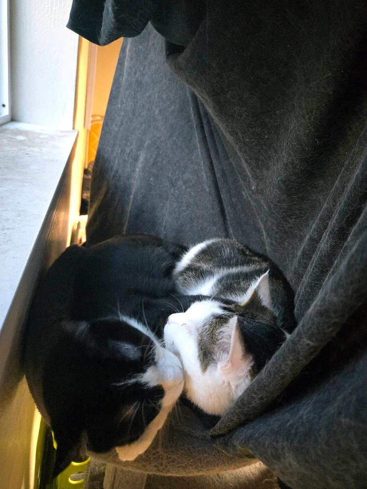 GIF uploaded by Chris