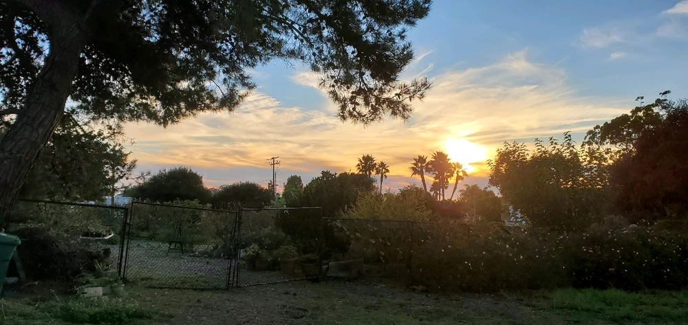 Image uploaded by Conlan