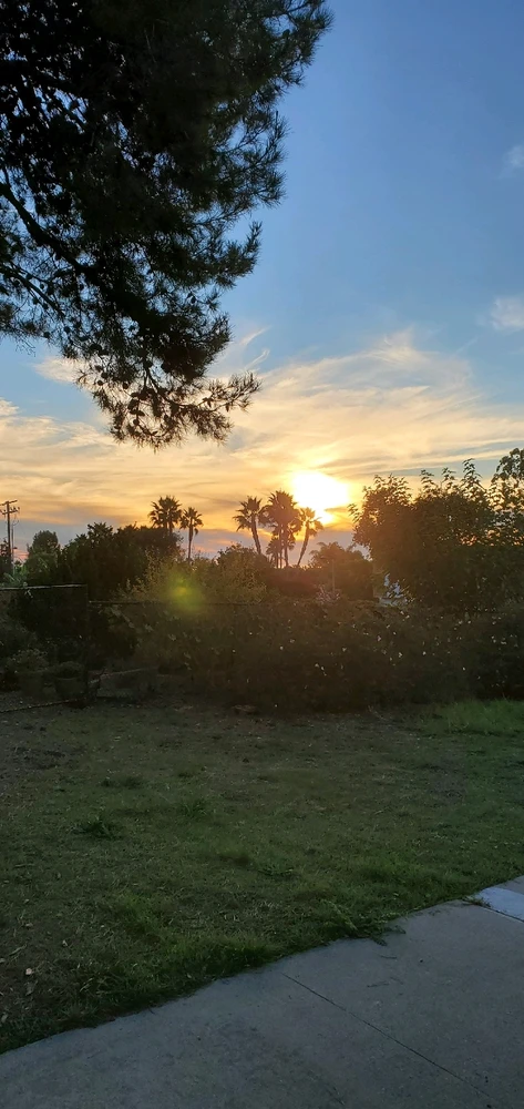 Image uploaded by Conlan