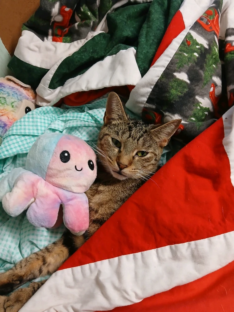 GIF uploaded by EarlVisOnFire