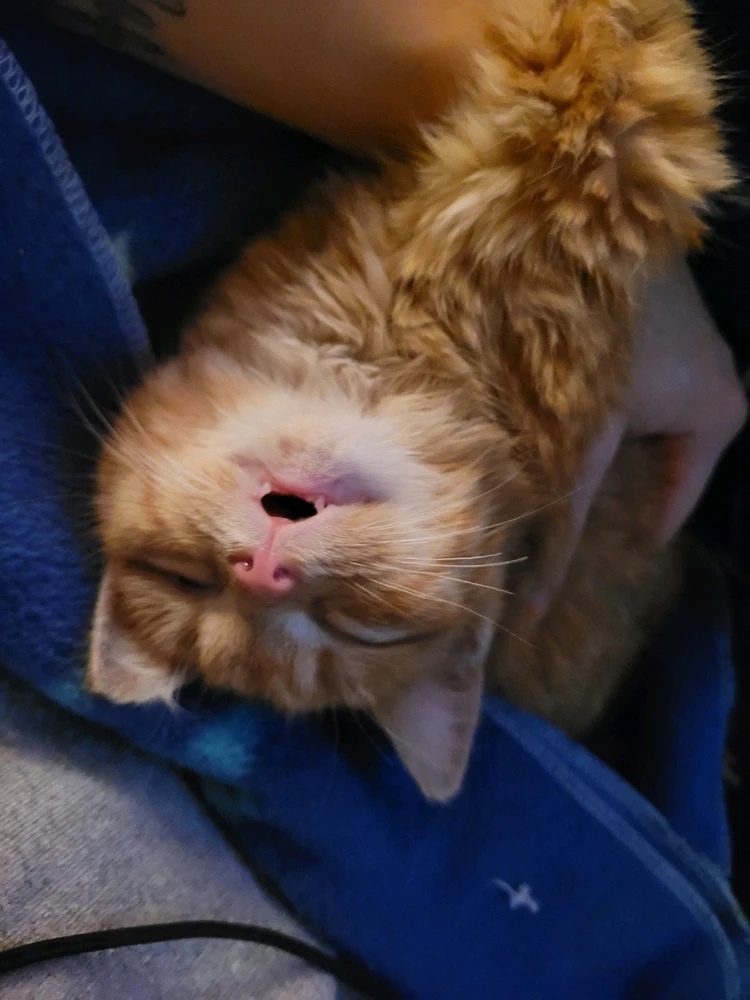 GIF ajouté par Mélissa