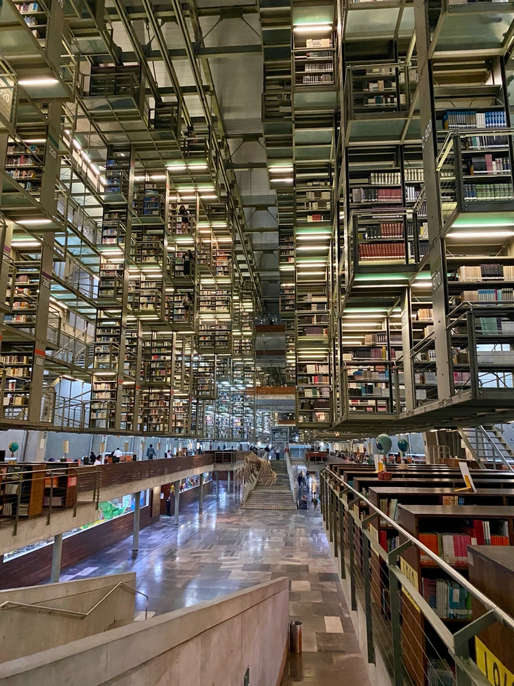 Image uploaded by Rafael