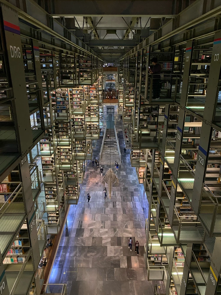 Image uploaded by Rafael