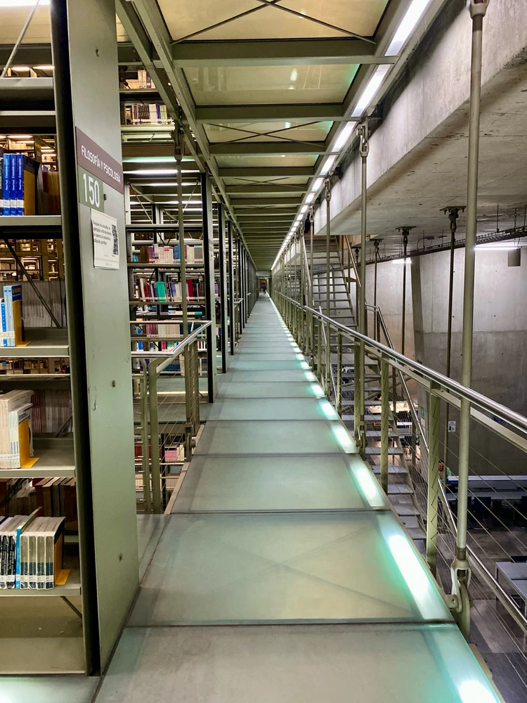 Image uploaded by Rafael