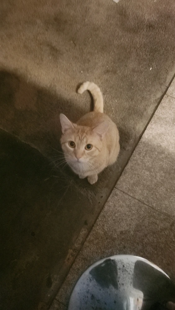 由Tyana上传的图片