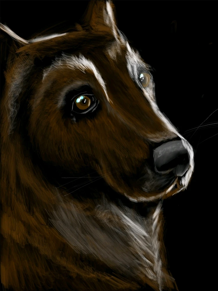 Image ajoutée par Edouard