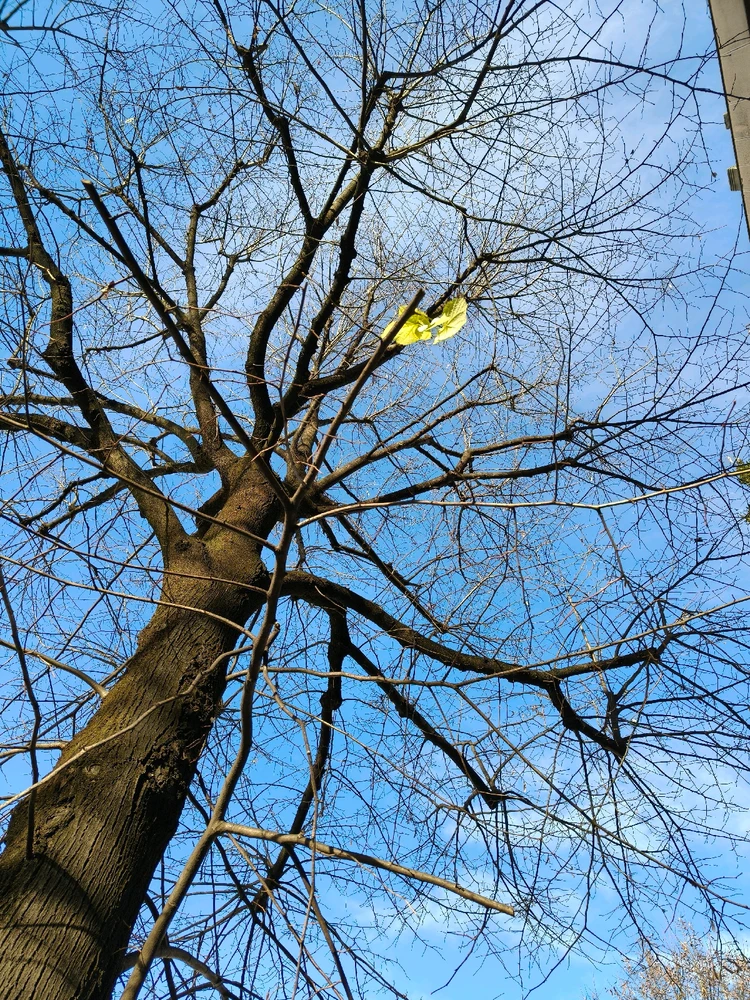 GIF uploaded by Carolina