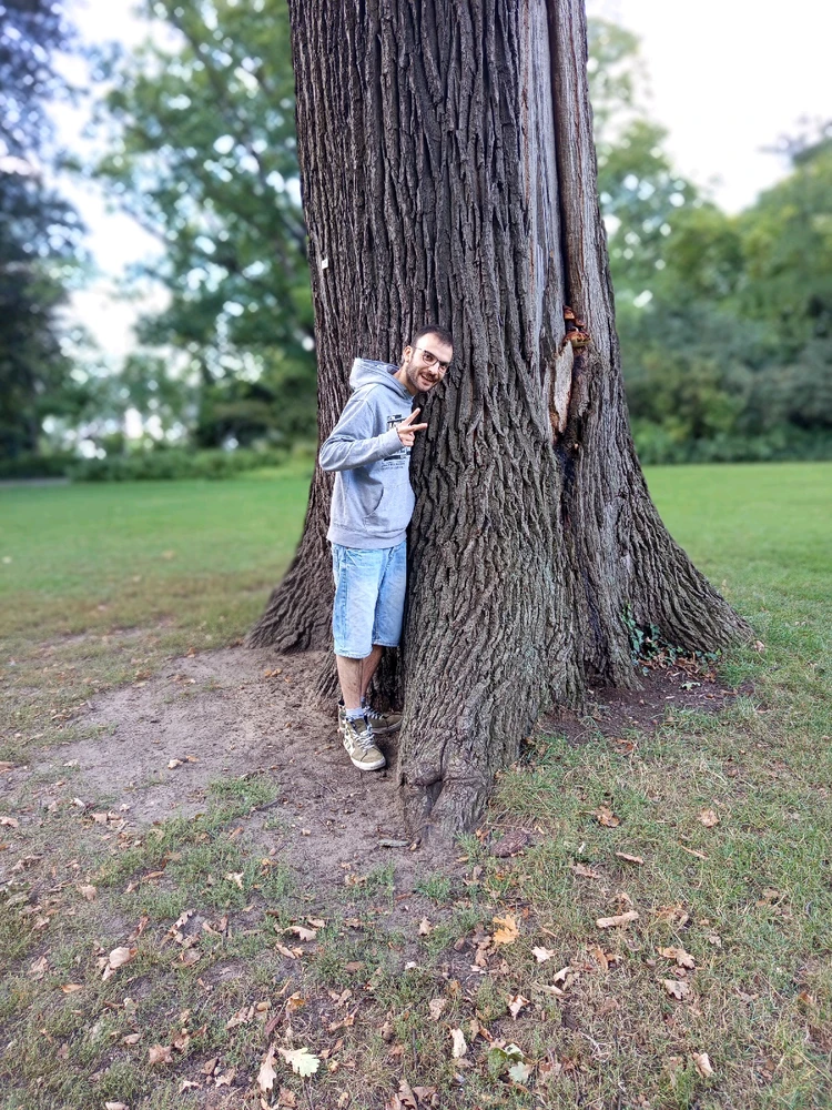 GIF diunggah dening Mox