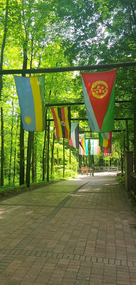 GIF uploaded by Jeremiah