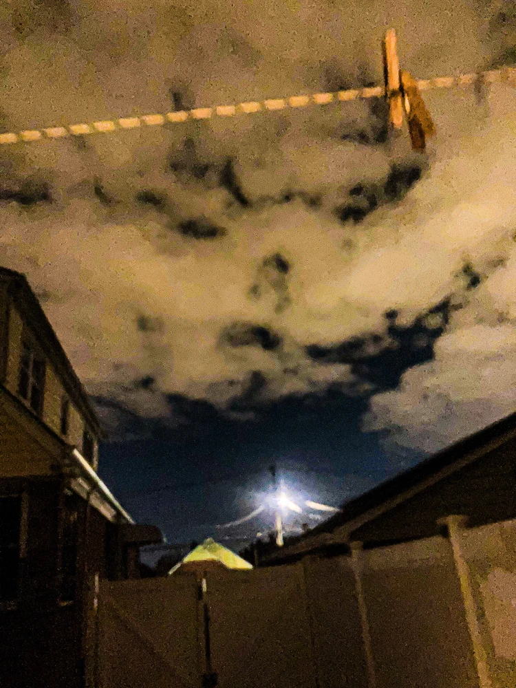 Image uploaded by Dominick