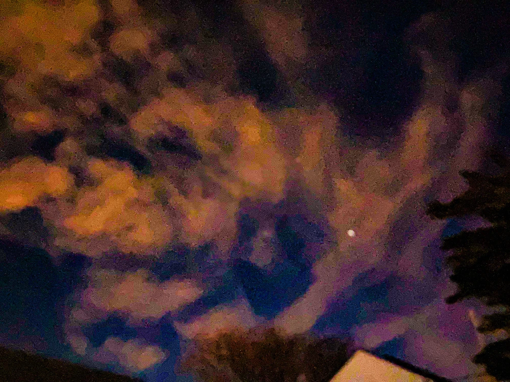 Image uploaded by Dominick