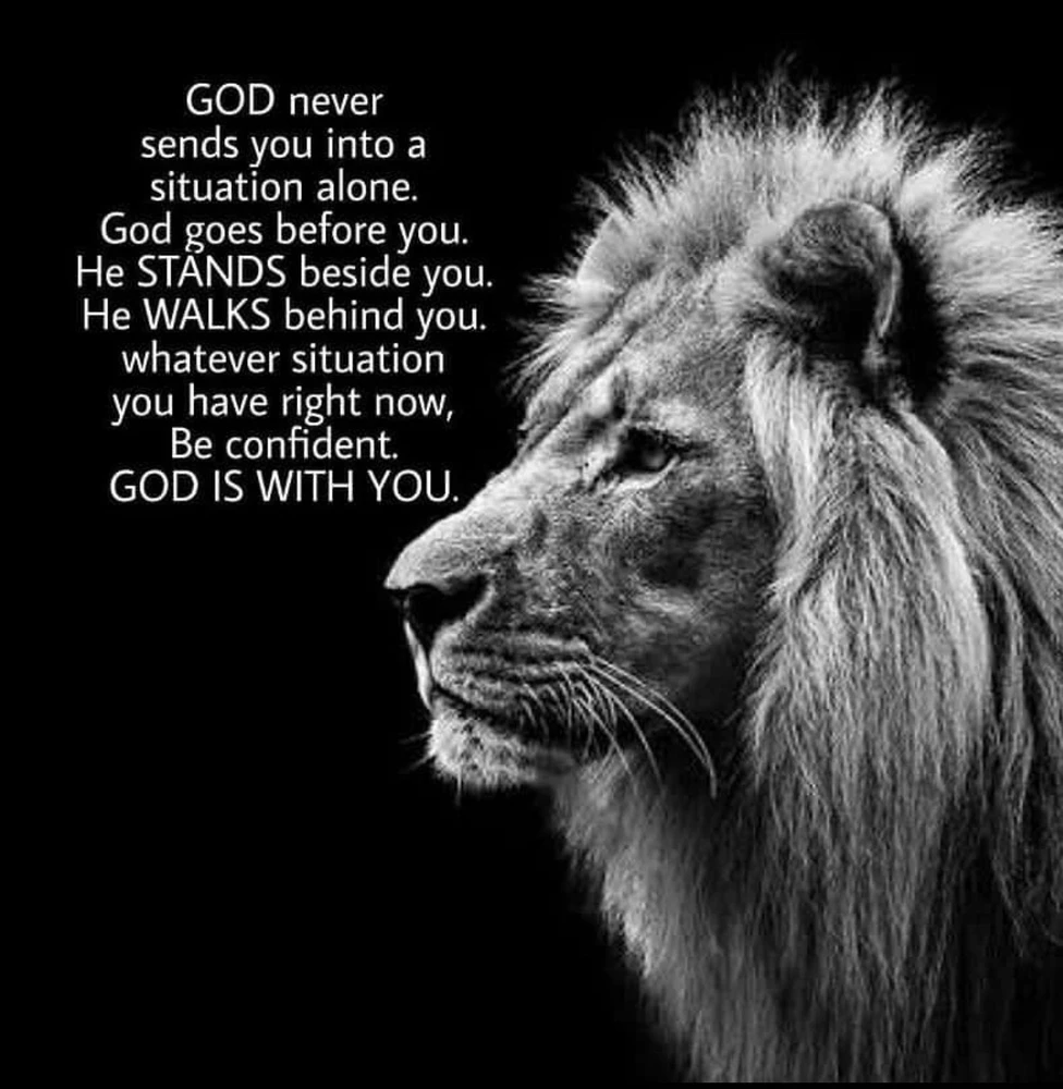 GIF uploaded by Antony