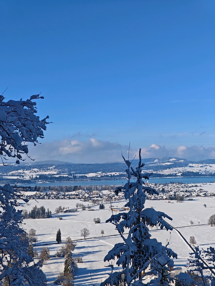 Image ajoutée par Joaquín