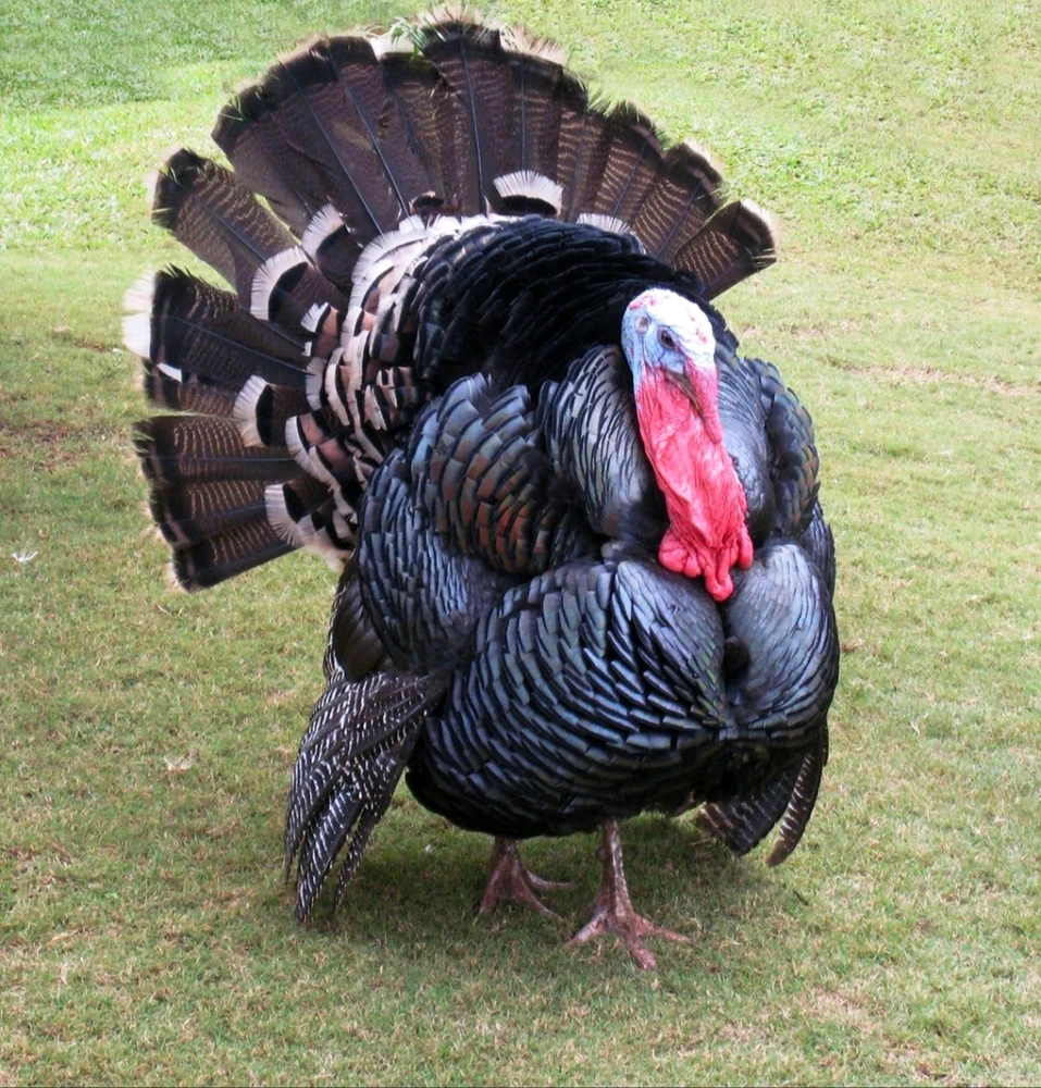 GIF uploaded by Pat