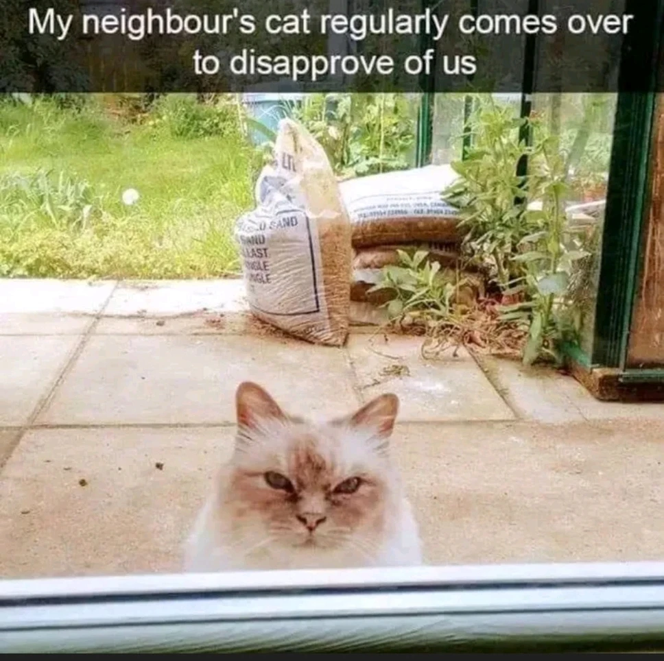 GIF uploaded by Brandon