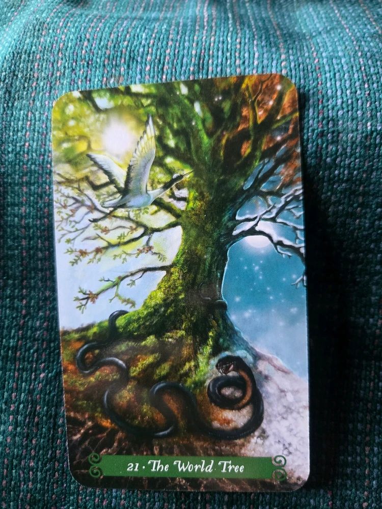 GIF uploaded by Jonathan