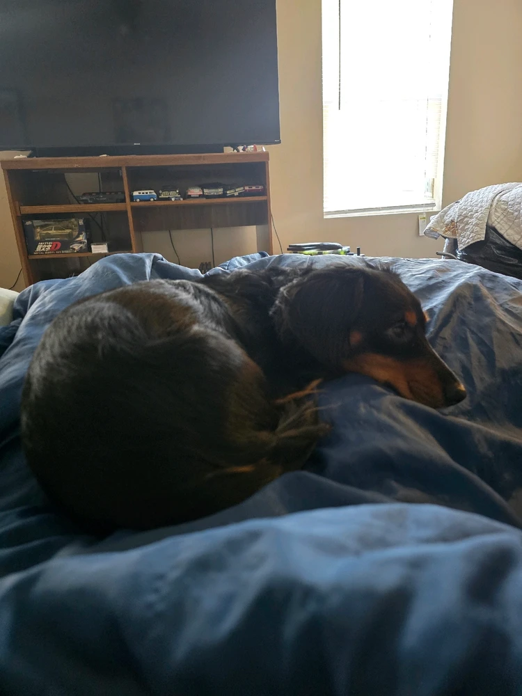 GIF uploaded by James