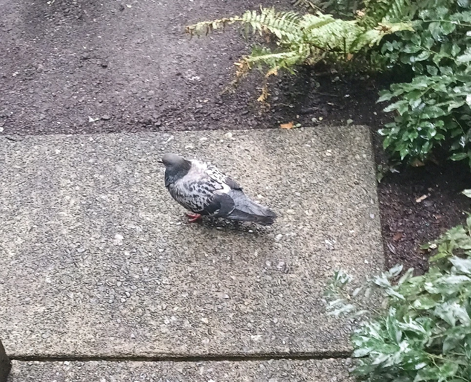 GIF uploaded by Yno Mitchell