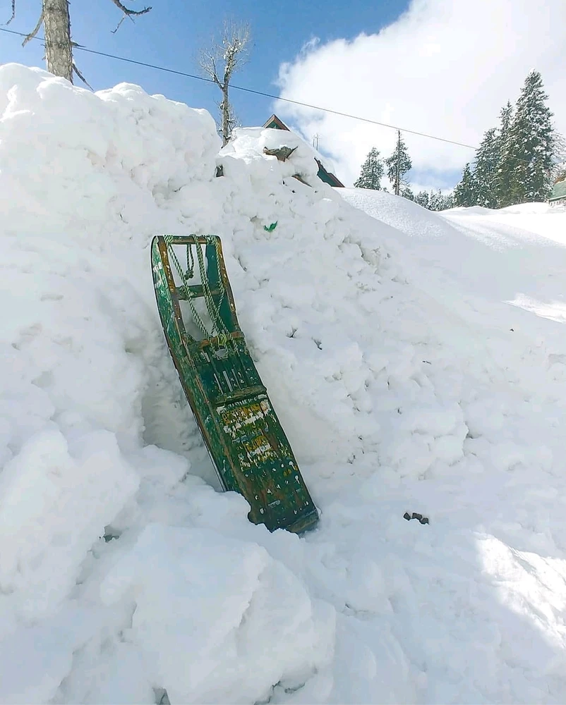 GIF uploaded by Sunny