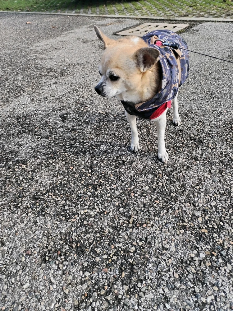 GIF caricata da Davide