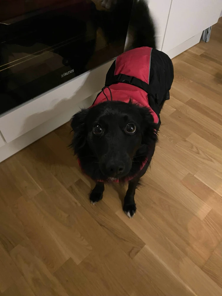 Image uploaded by Alex