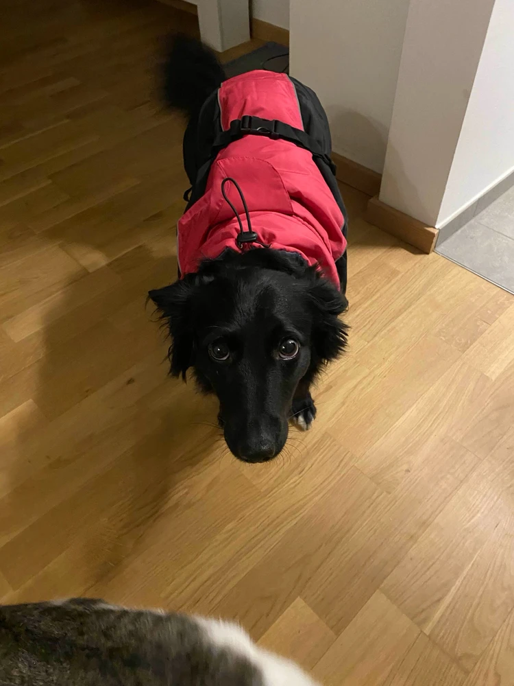 Image uploaded by Alex