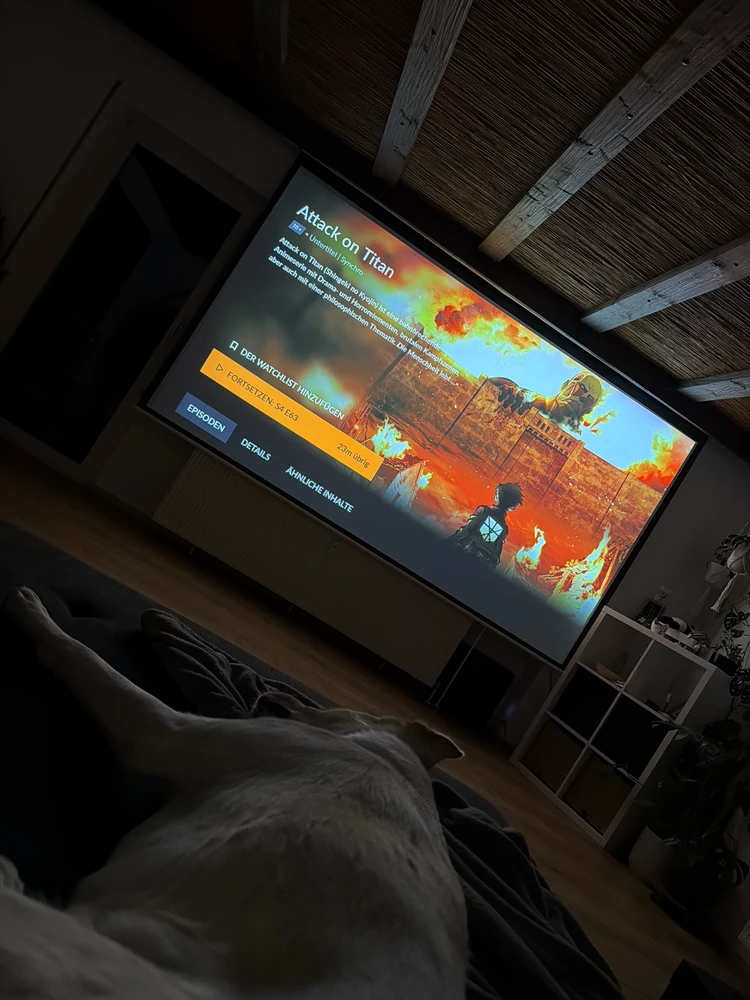 GIF hochgeladen von Joy