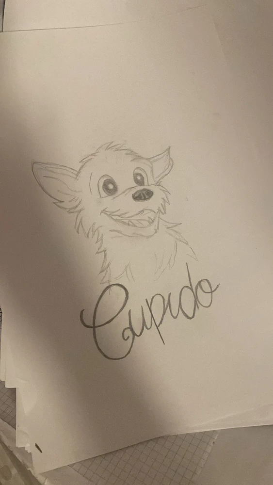 Immagine caricata da 𝒞𝒶𝓇𝑜𝓁𝒾𝓃𝒶