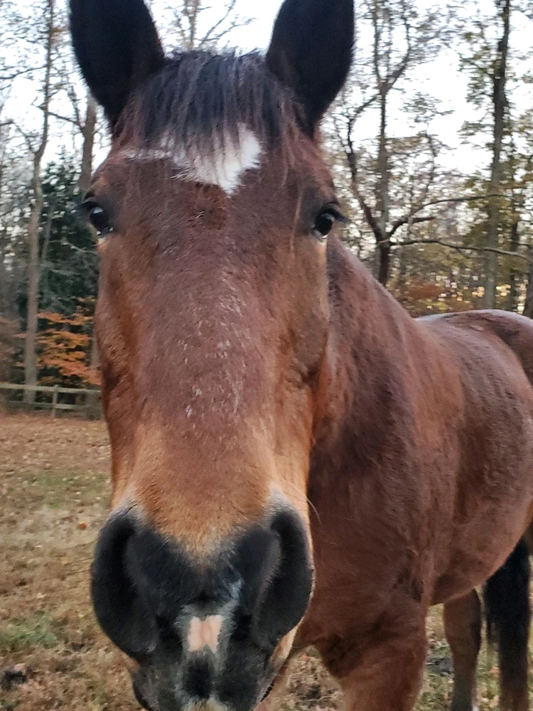 Image uploaded by Jade